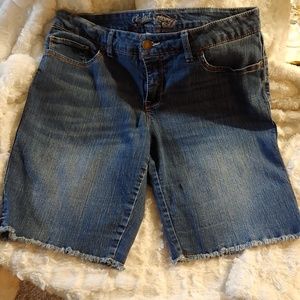 Glory Stretchy Blue Jean Shorts-Size 14